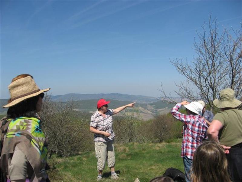 Sylvie guide les landes