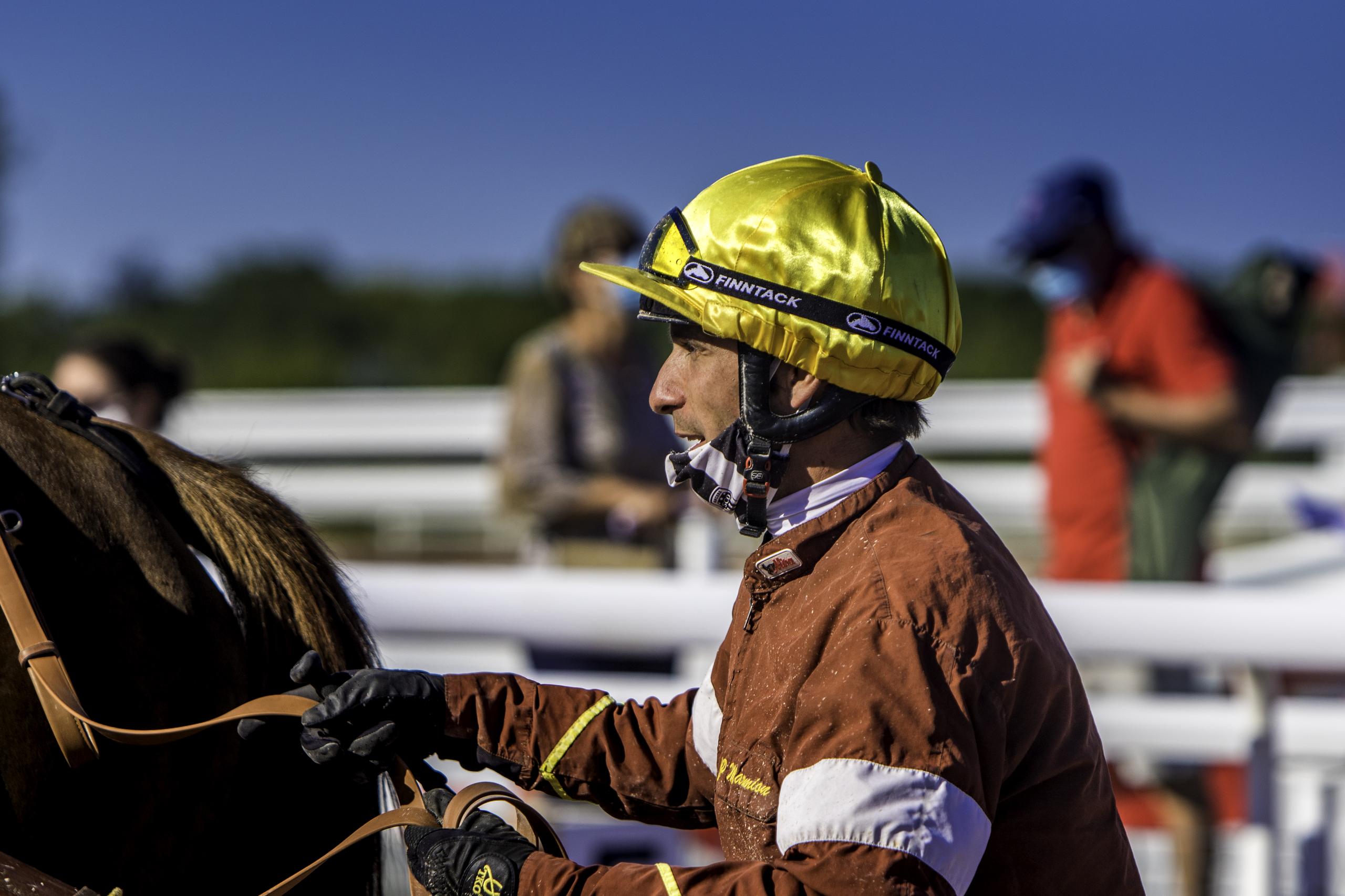 Courses à l'hippodrome