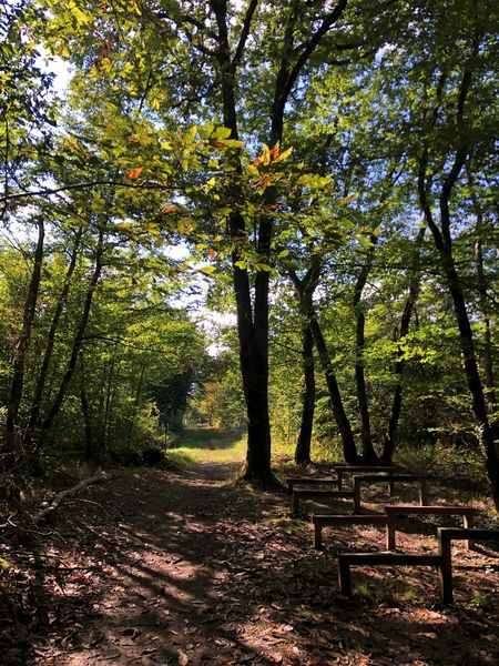 Circuit de randonnée pédestre : Le circuit du Sorbier