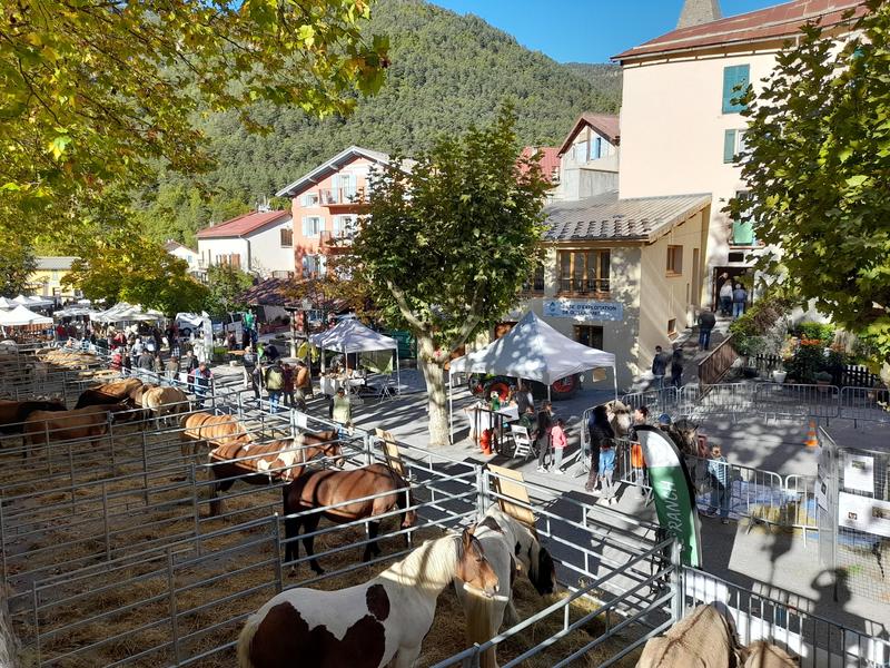 Foire agricole