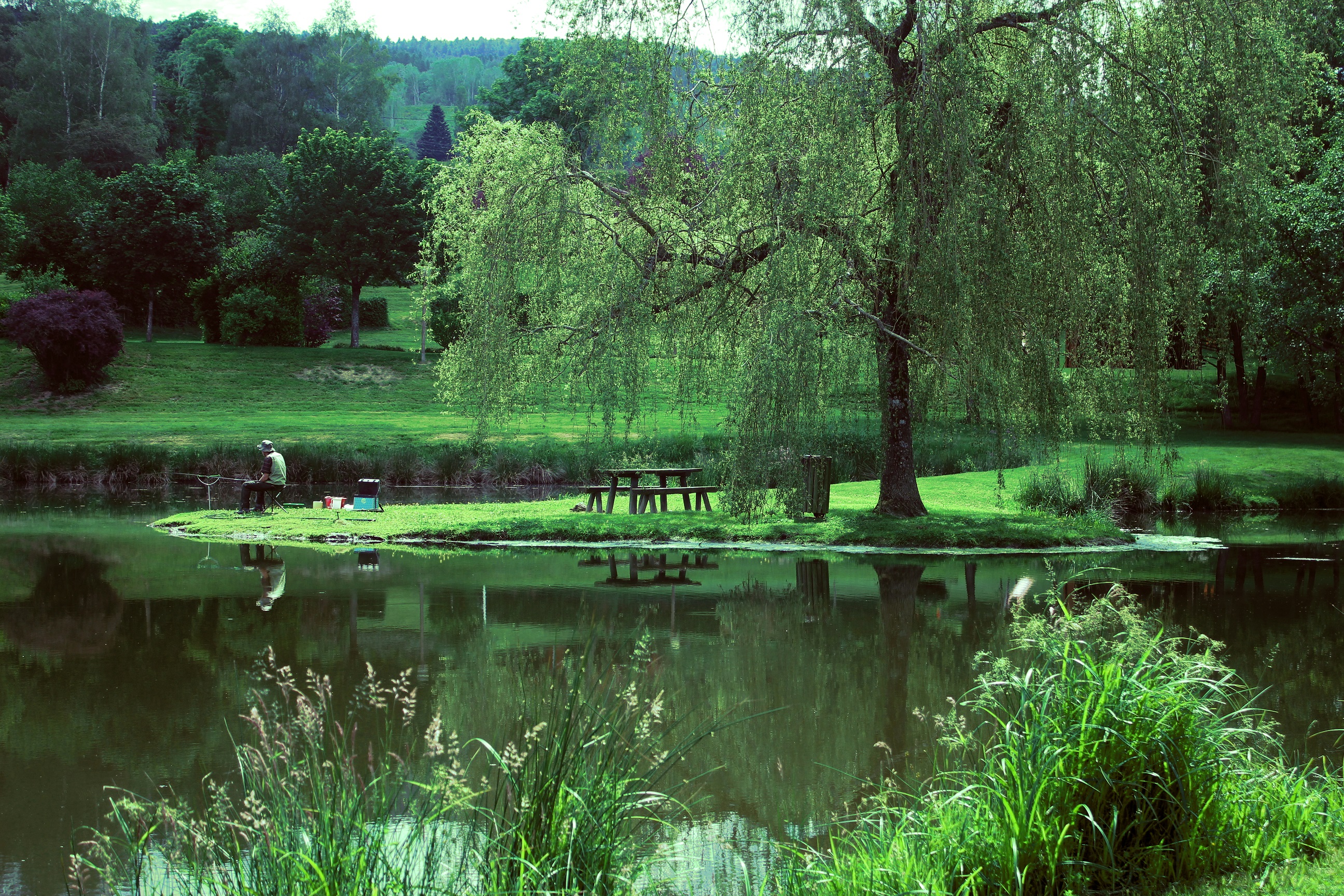 Fishing at Azole Pond