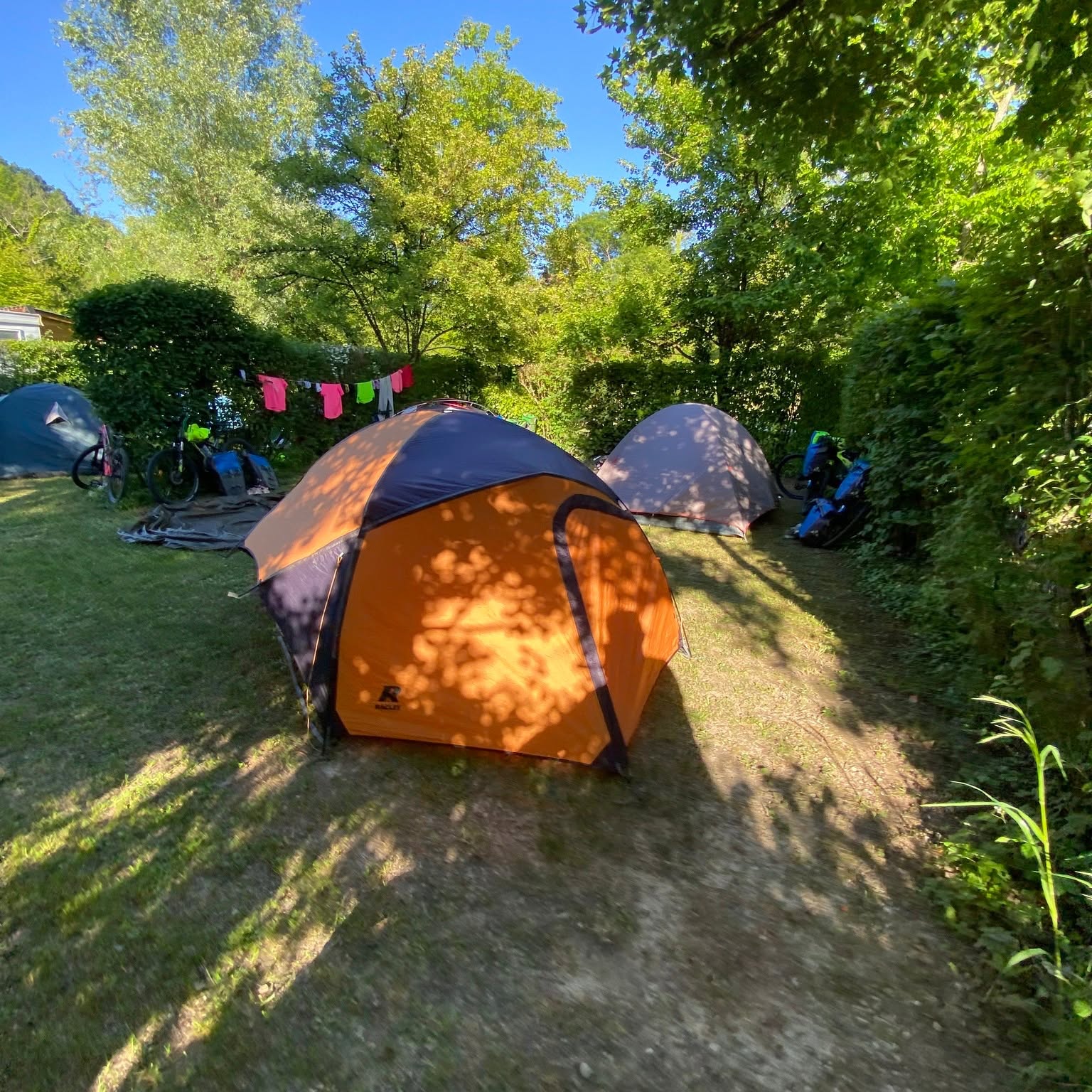 Emplacement ombragé aménagé sur pelouse pour accueillir les campeurs dans un cadre verdoyant