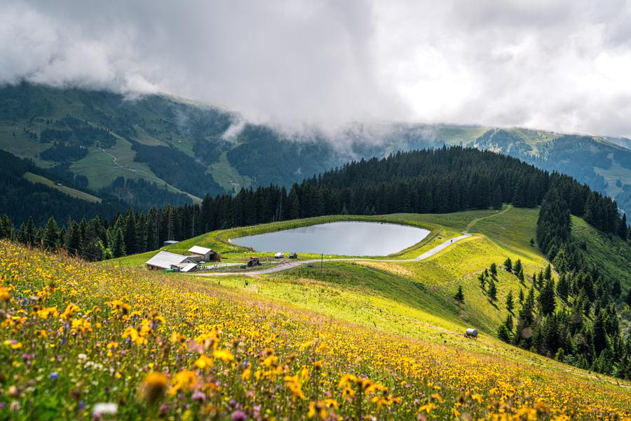 Le Lac de Joux depuis le Mont d'Arbois
