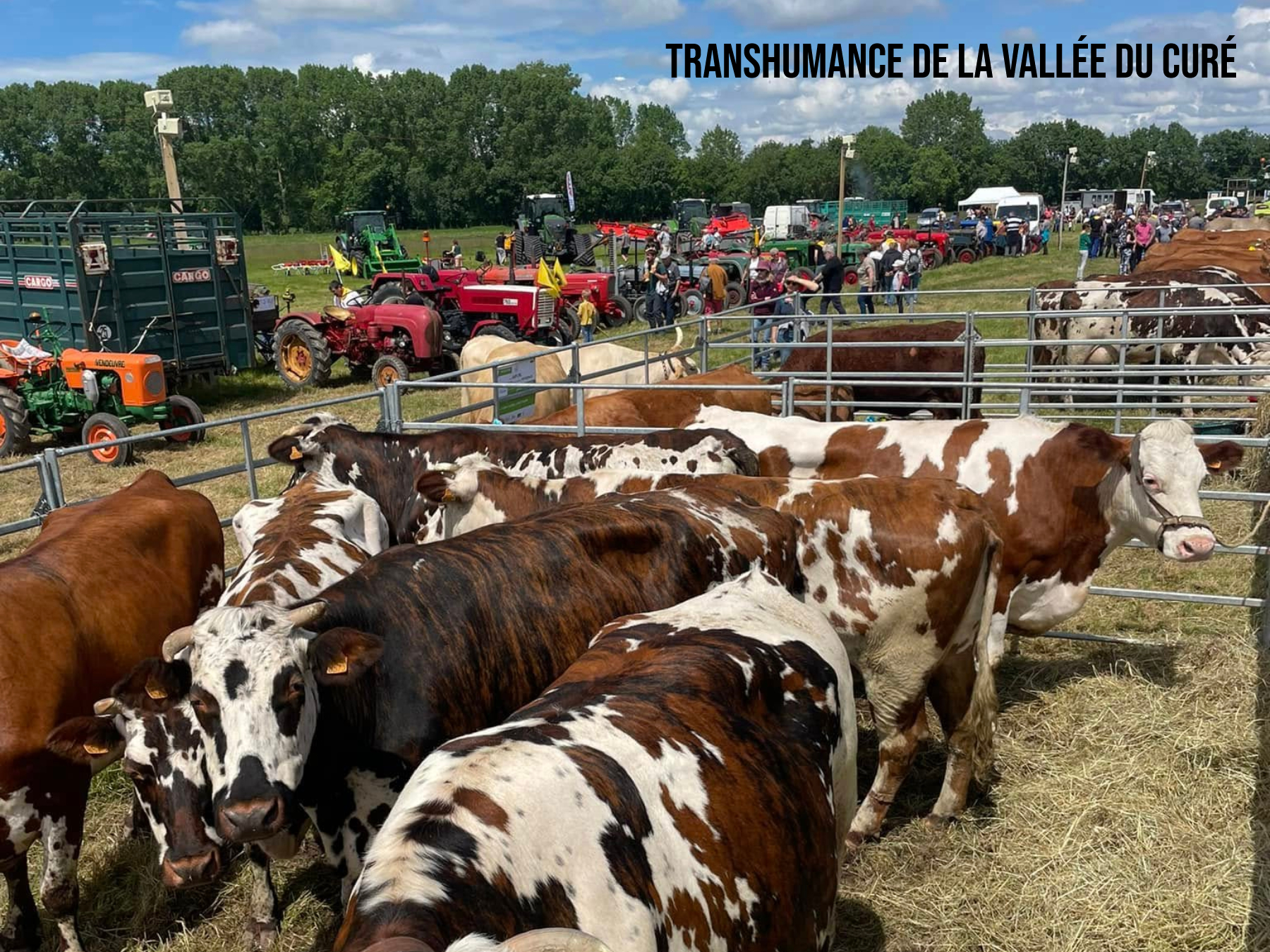 Association Transhumance de la vallée du Curé