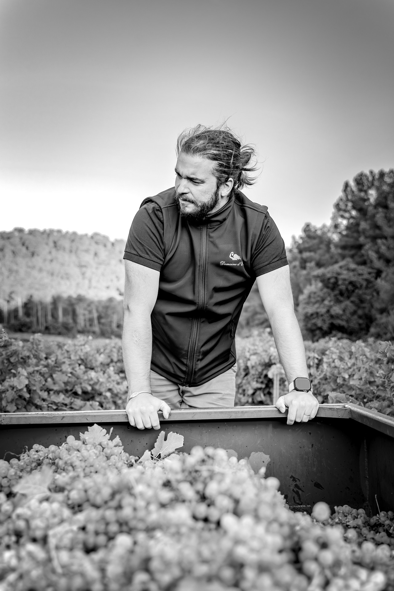 Domaine d'Eole - photo 4