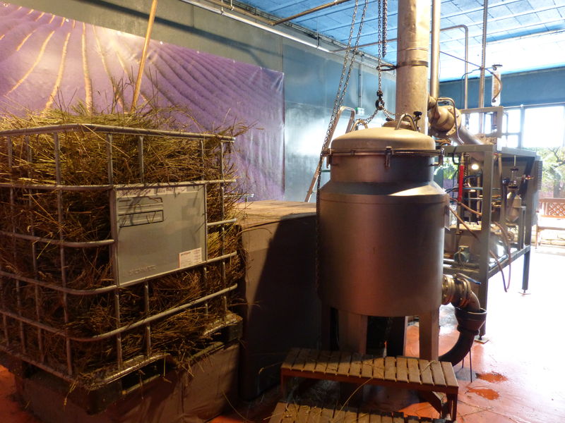 Les Agnels | OTI Pays d'Apt Luberon Les Agnels
