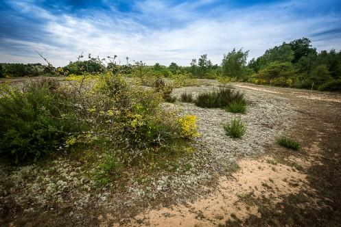 Liaison VTT-VTC (L7) St Trivier de Courtes - Dunes de Sermoyer_Saint-Trivier-de-Courtes