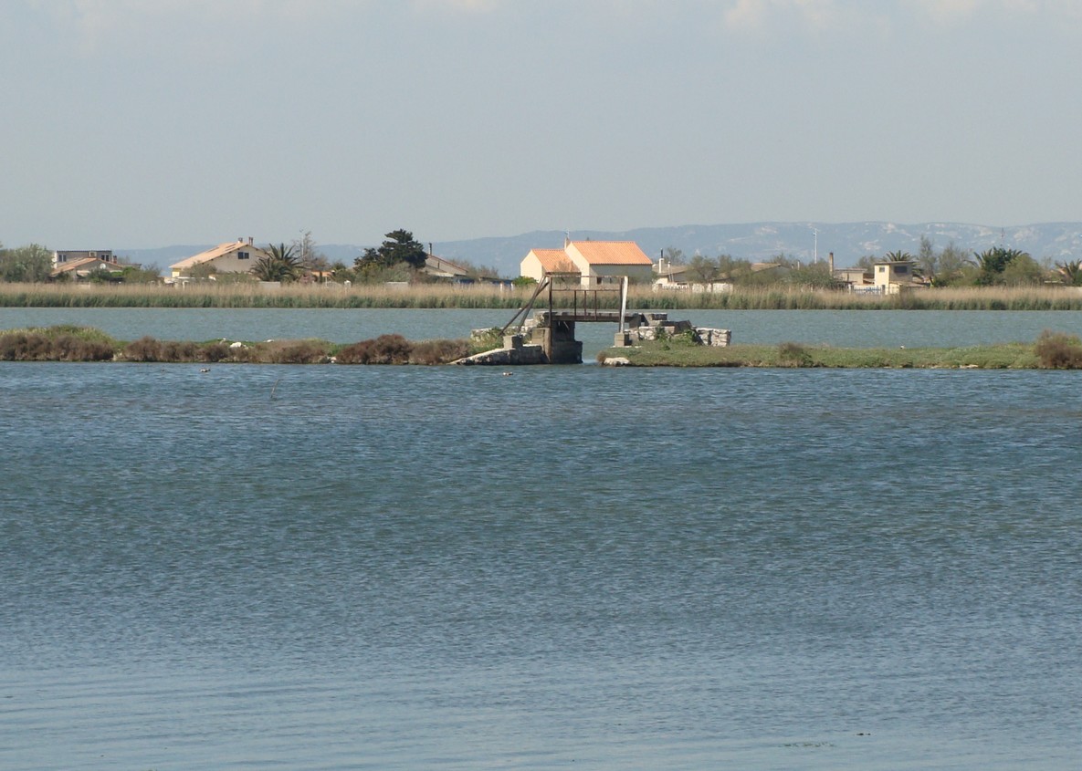 Etang de Bolmon site de Patafloux-Barlatier, Châteauneuf-les-Martigues - photo 2