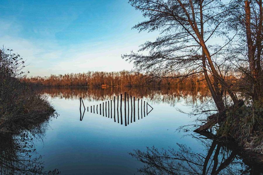 Gravière aux Oiseaux - Petites bêtes de la mare_Mably