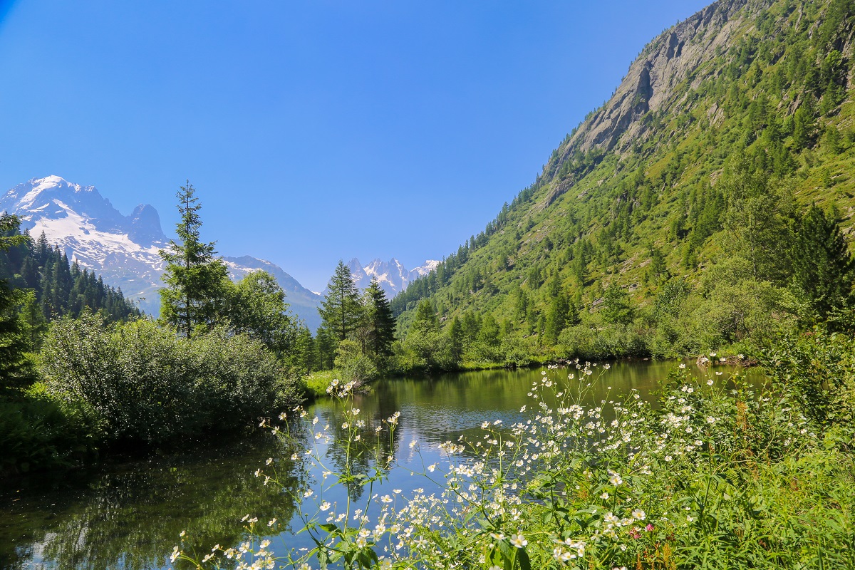 OT Vallée de Chamonix - Salomé ABRIAL-8663