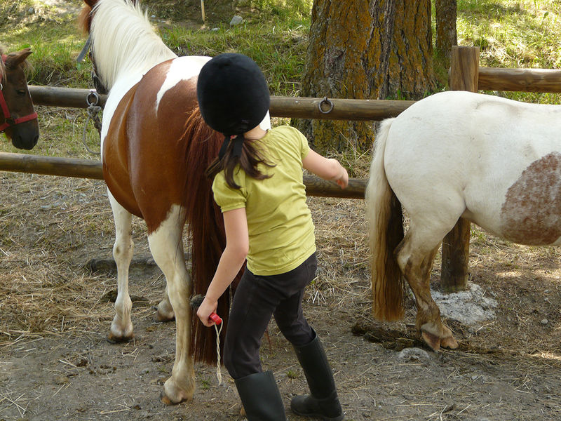 Le Fer à Cheval Peisey-Vallandry
