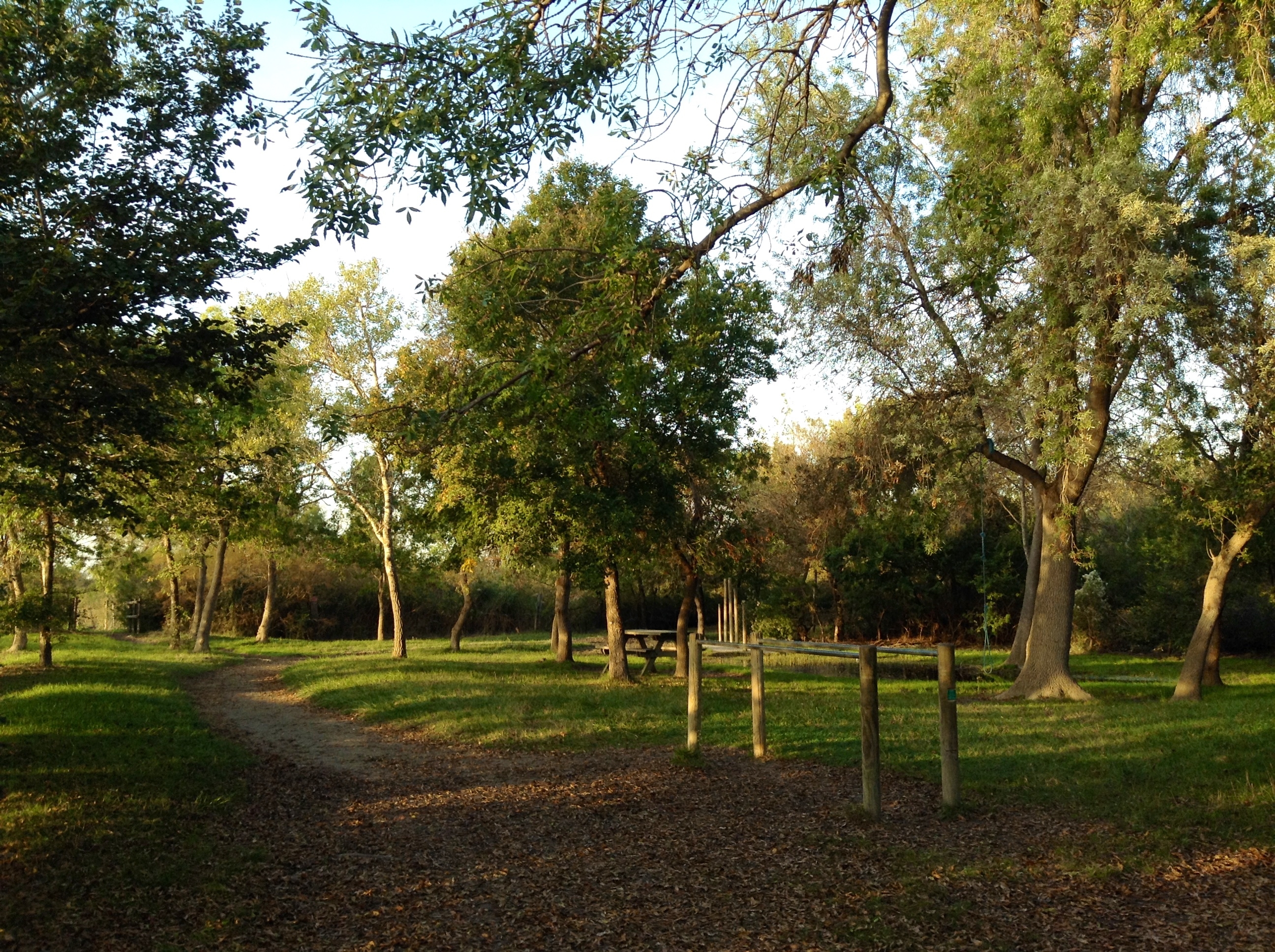 Bois François, Port-Saint-Louis-du-Rhône - photo 2