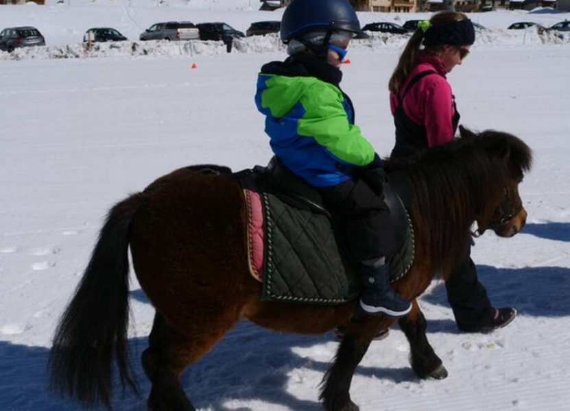 Tour à Poney en centre station Du 2 janv au 11 fév 2025