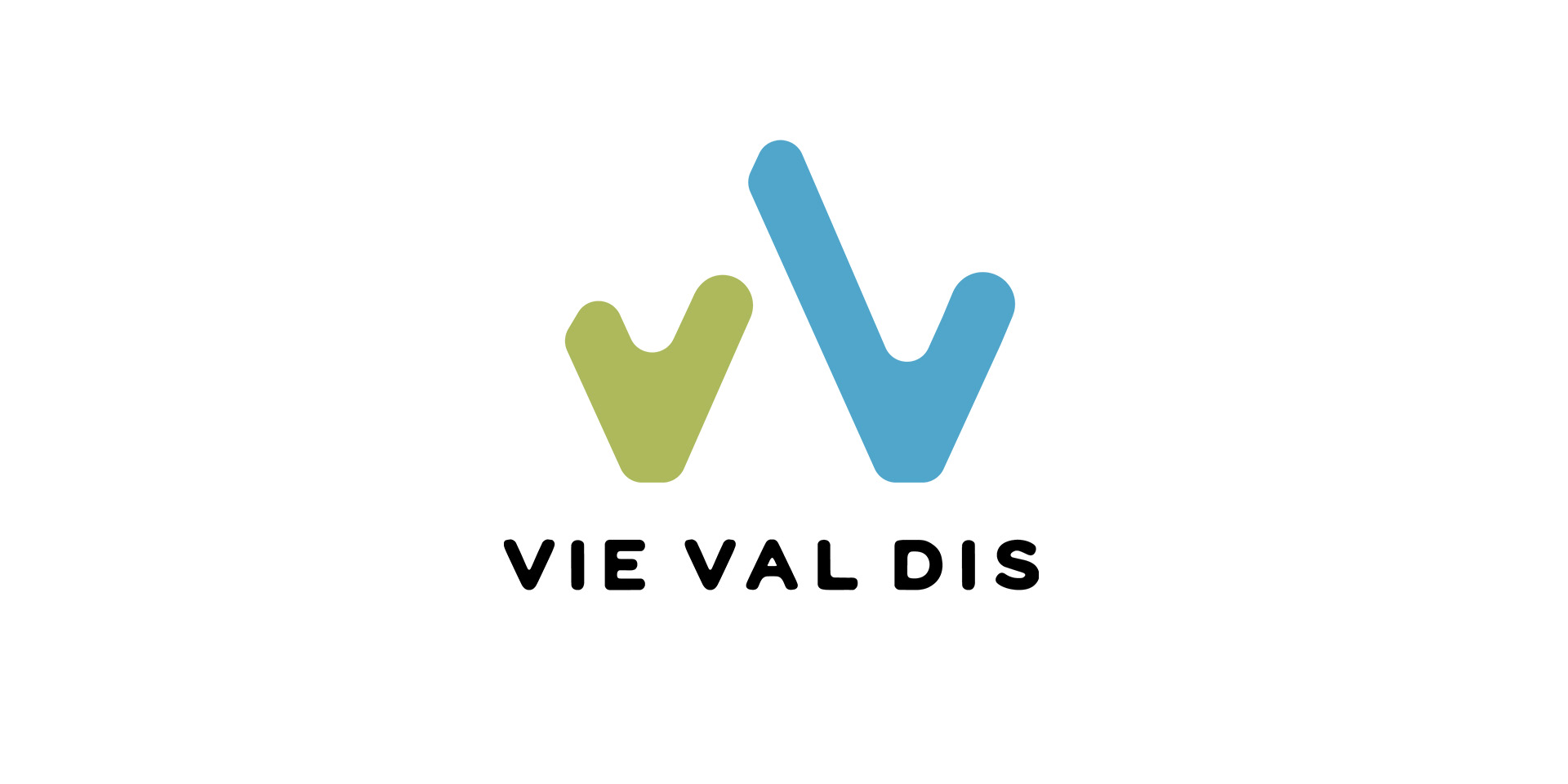 Logo VIE VAL DIS