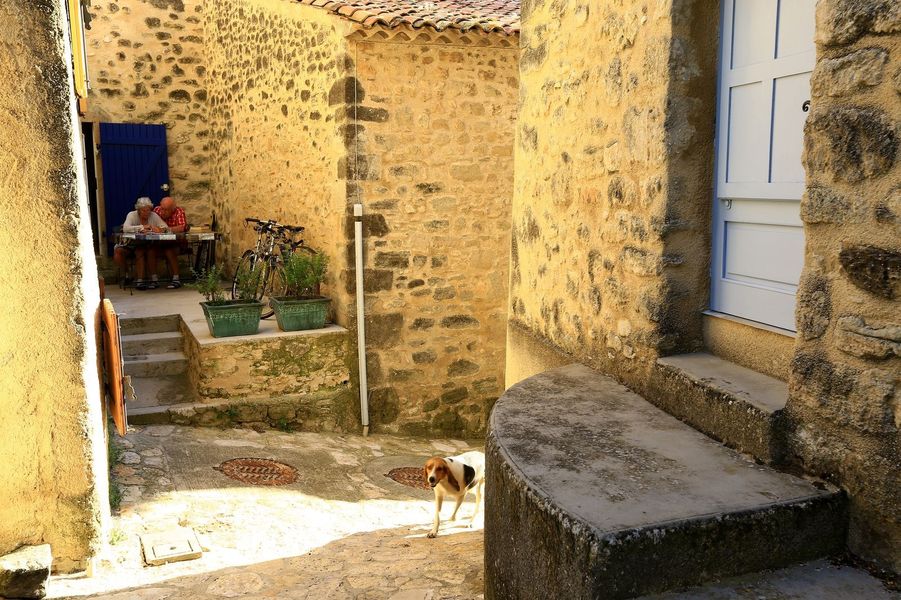 Grambois village Luberon