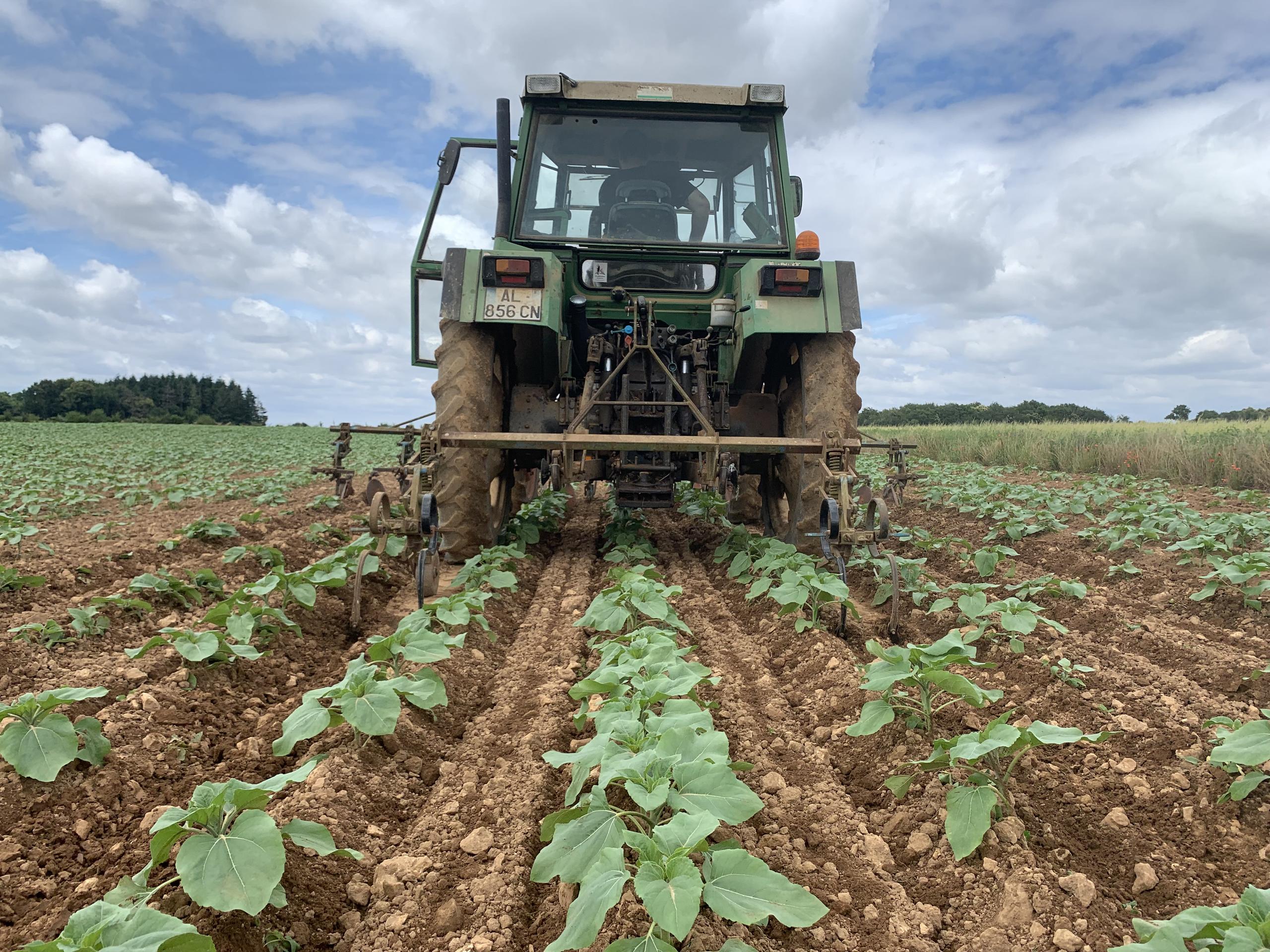 Ferme de Guignebourg