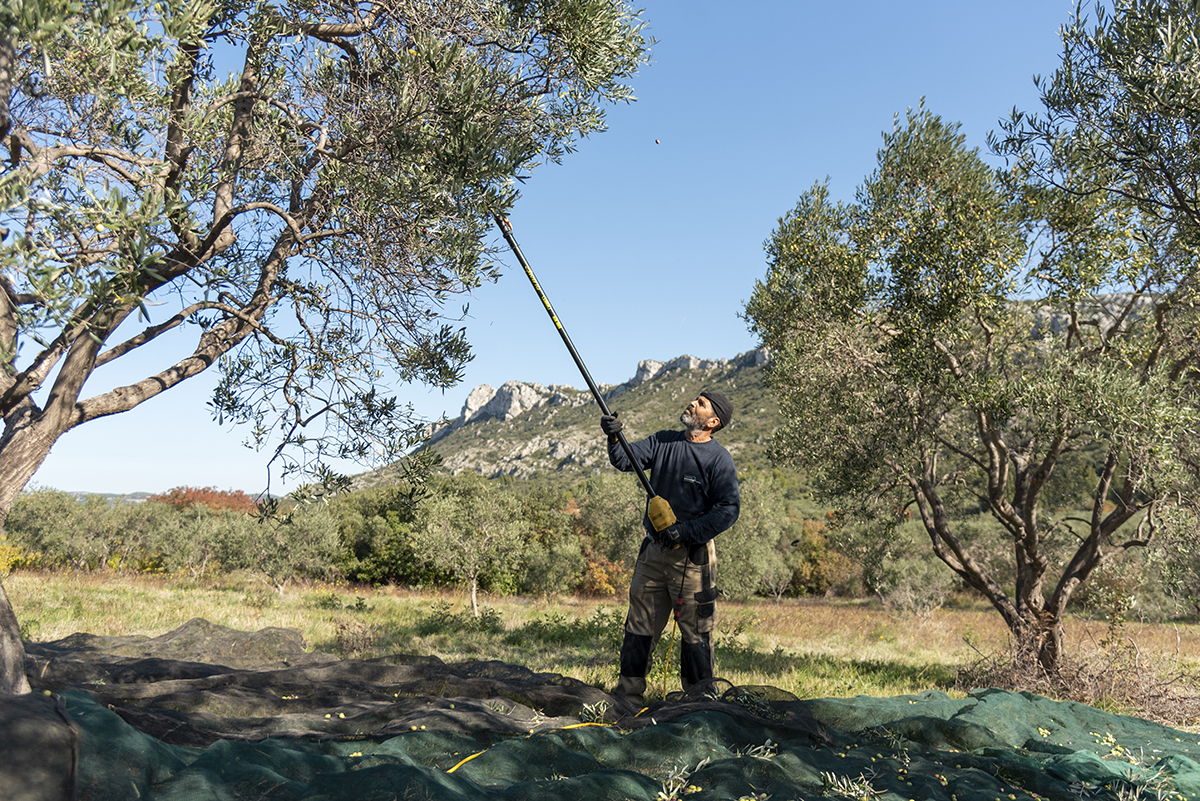 Domaine Vallon des Glauges, Eyguières - photo 12