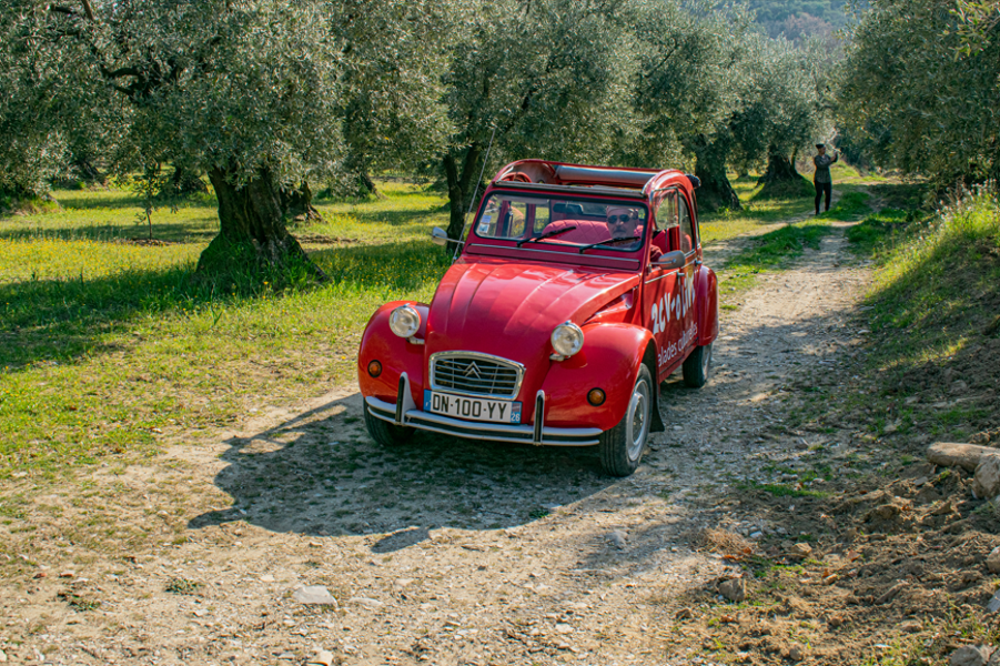 2CV OLIVE