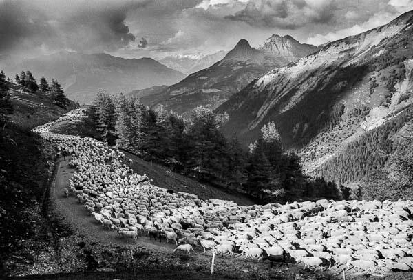 Image MEP_LOU_PASTRE9