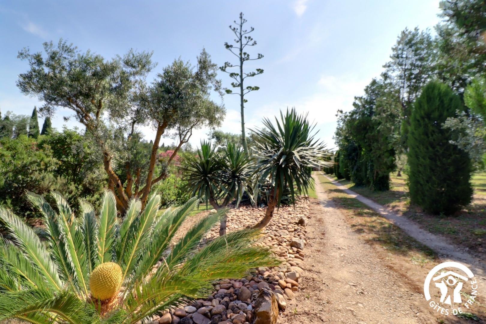 Le Tournesol - photo 2