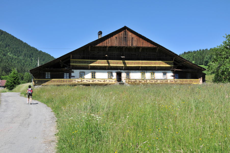 Randonnée Pointe des Follys - Abondance