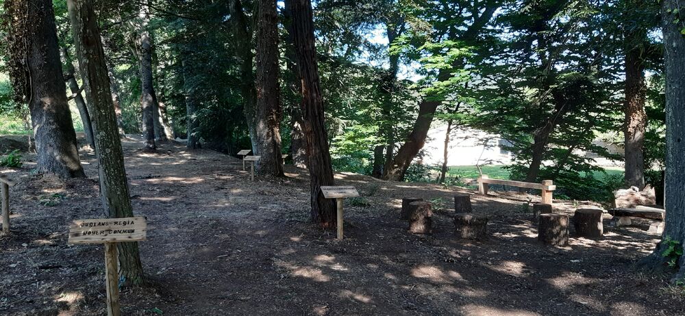 Arboretum de Collobrières