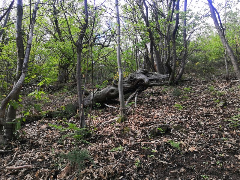 Gîte Le Temps Suspendu