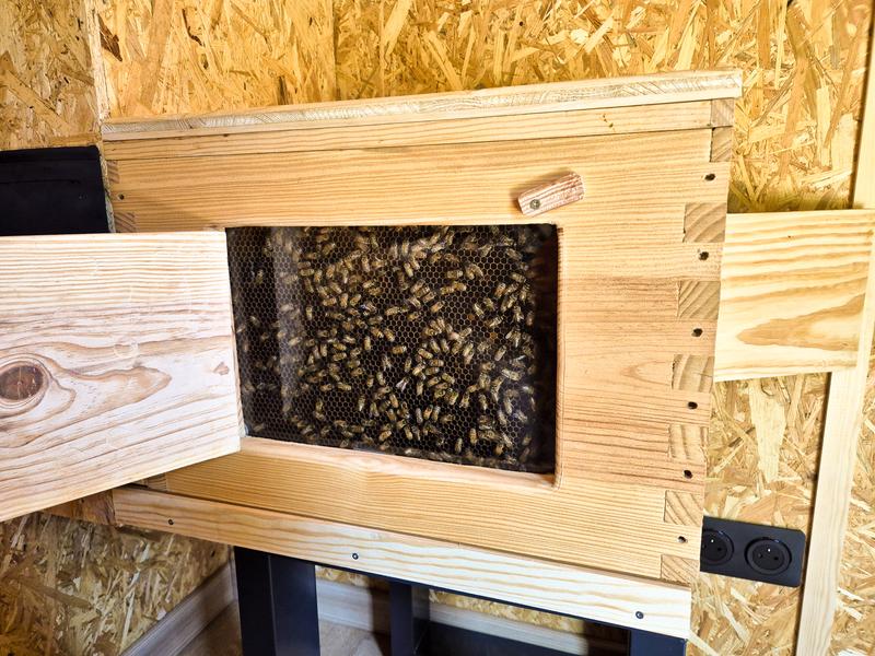 Tinyhouse&abeilles : séjour insolite en Provence_Orange