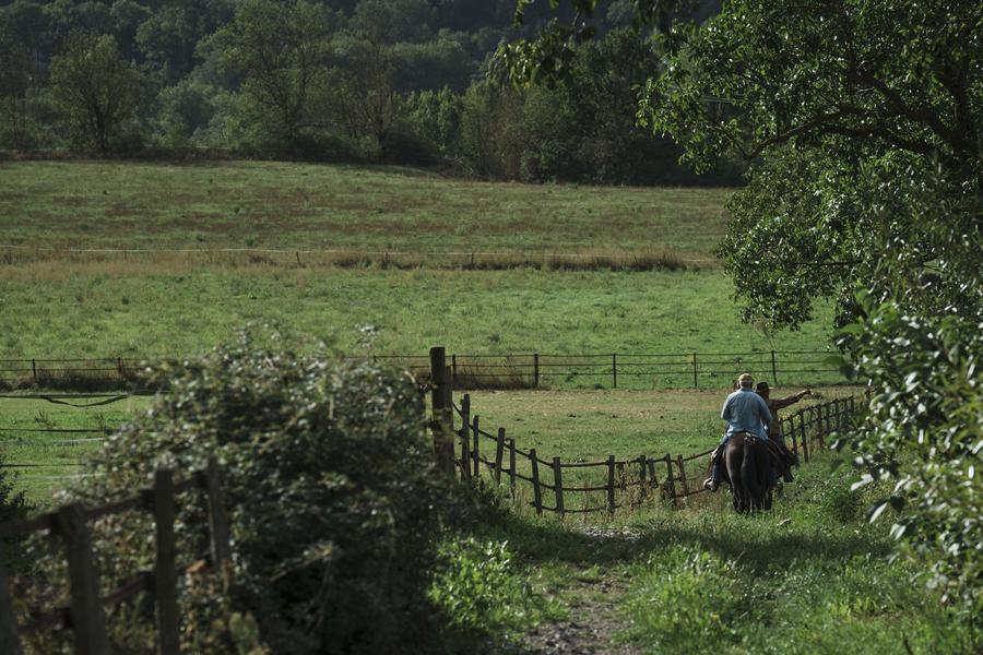 Chemin plaine Valbonnais