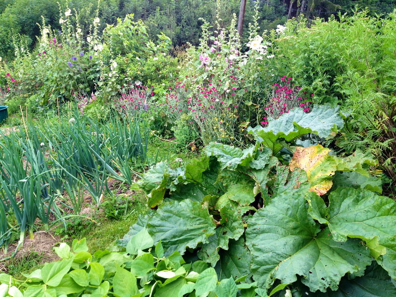 un_jardin_au_paradis_HabereLllin