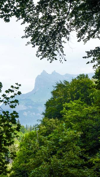 Les montagnes vues de la passerelle