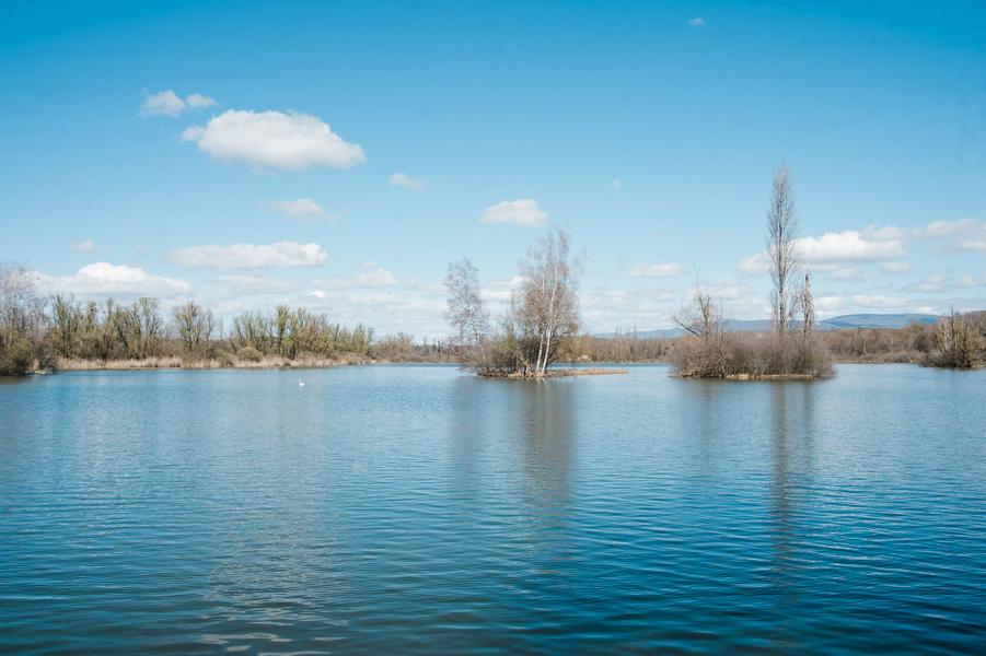 ENS la Save étangs de la Serre