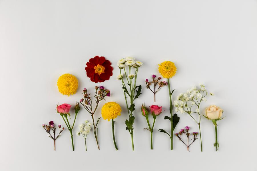 Atelier Création Florale à Mison : livre... Le 19 juin 2025