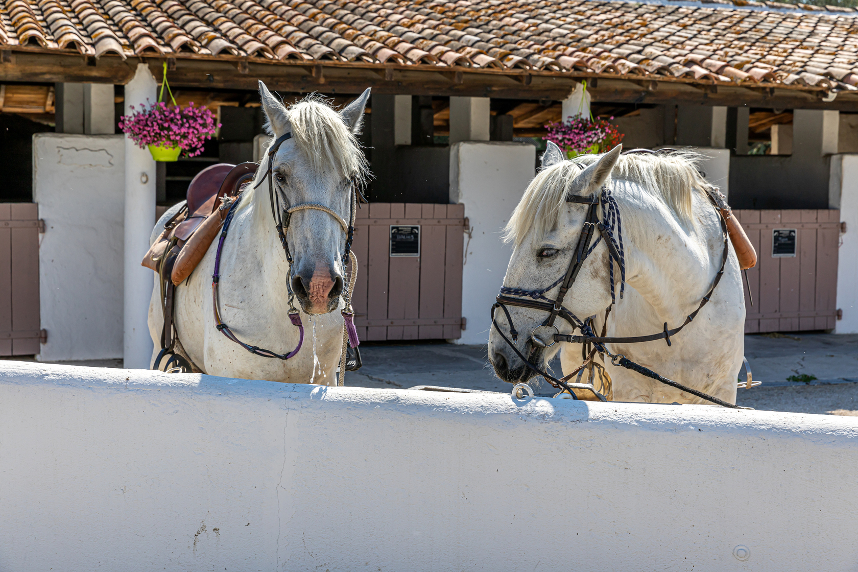 L'écurie de l'Auberge Cavalière