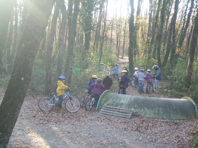 Activité en forêt