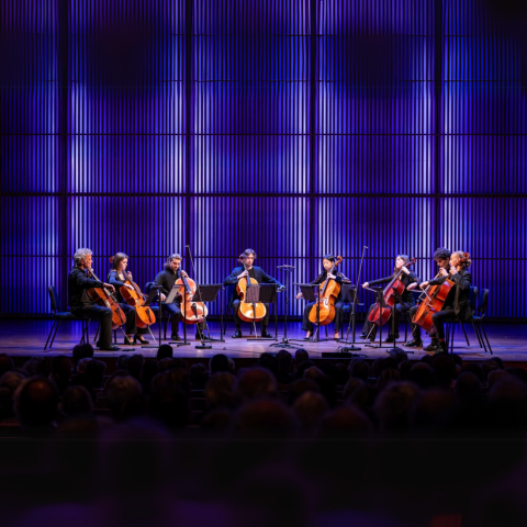 La nuit des violoncelles à la Villa Carmignac_Hyères