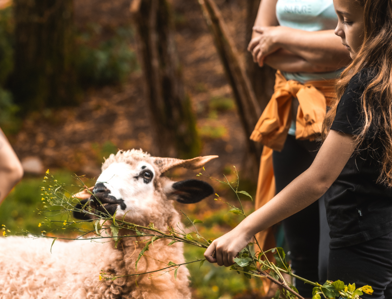 Ferme du Haut Chablais