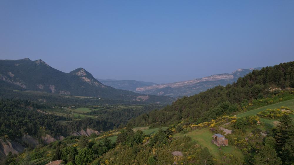 La tiny de Plantago - Cornillac