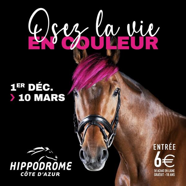 Meeting hippique d'hiver_Cagnes-sur-Mer