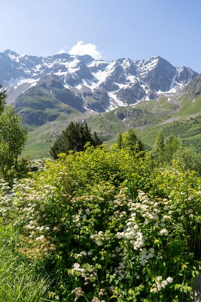 Temporary exhibition at the Ecrins National Park