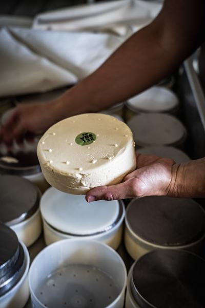 A la découverte de la fabrication du reblochon