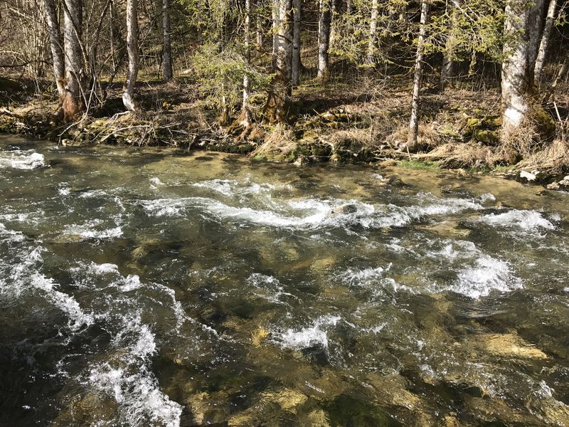 rivière la valserine