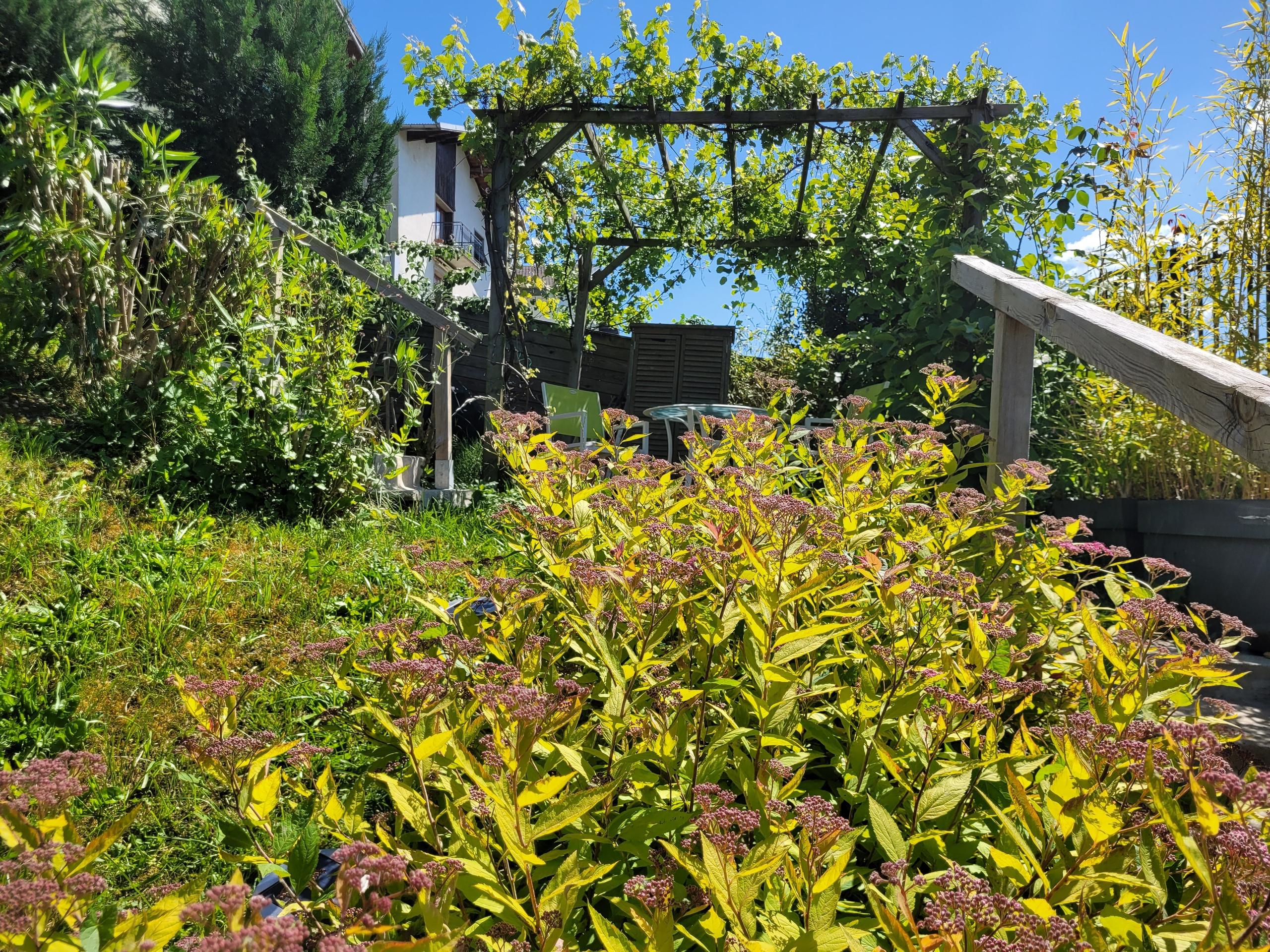 Les Terrasses du Lac - Le Lofty