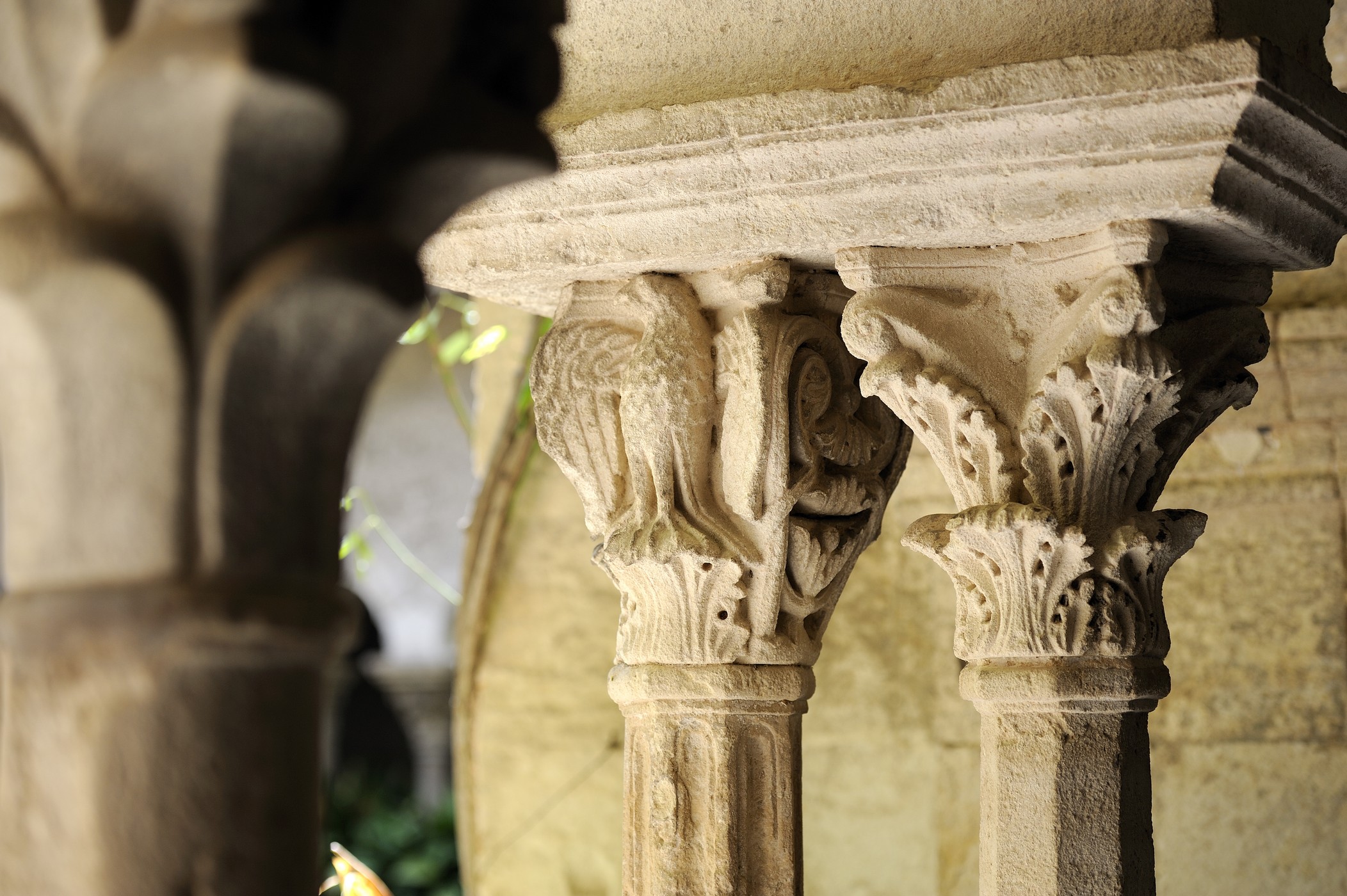 Cloître Saint Paul de Mausole, Centre culturel et touristique Van Gogh - photo 3