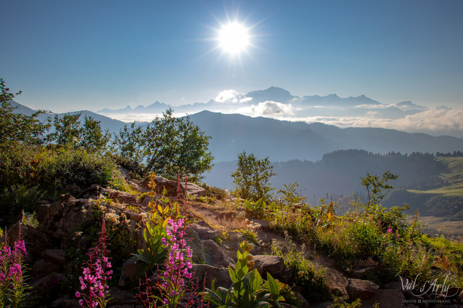 Sentier de la Croix des Frêtes