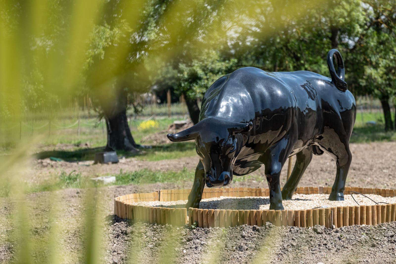 Mas Papabiou - Romanin, Eygalières - photo 4