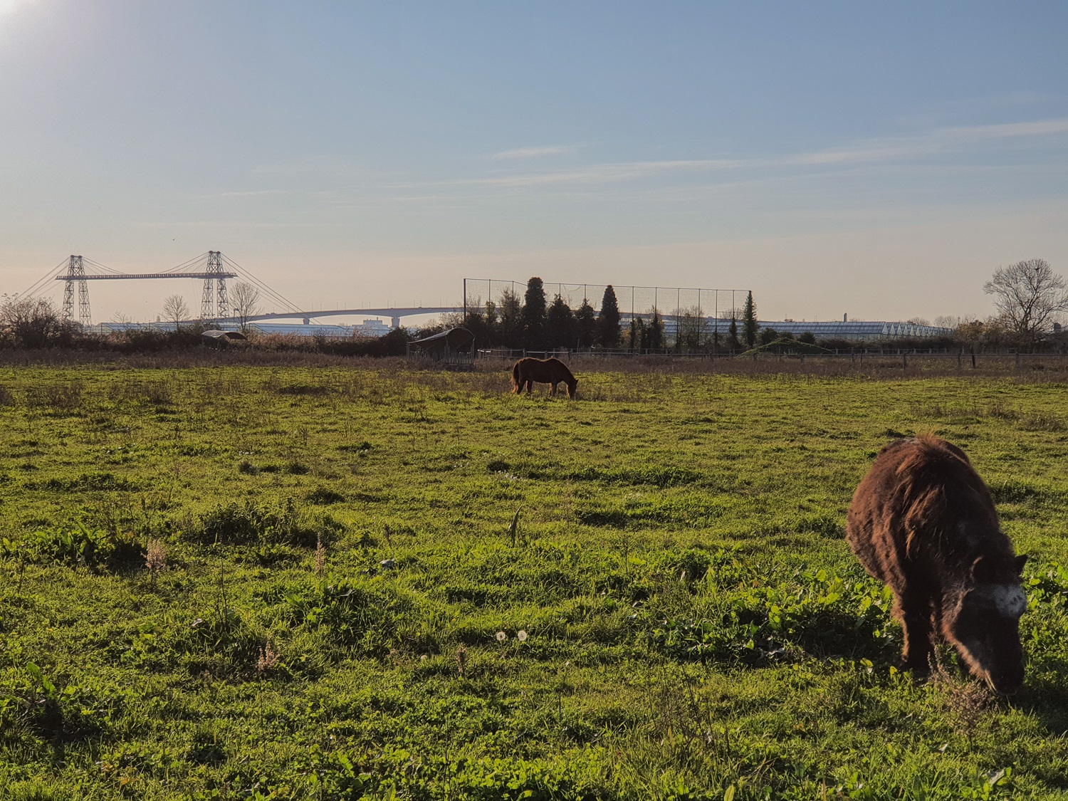 Marais du pont Transbordeur