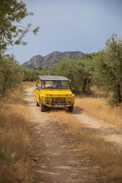 Yes Provence - Méhari en Provence - 2023