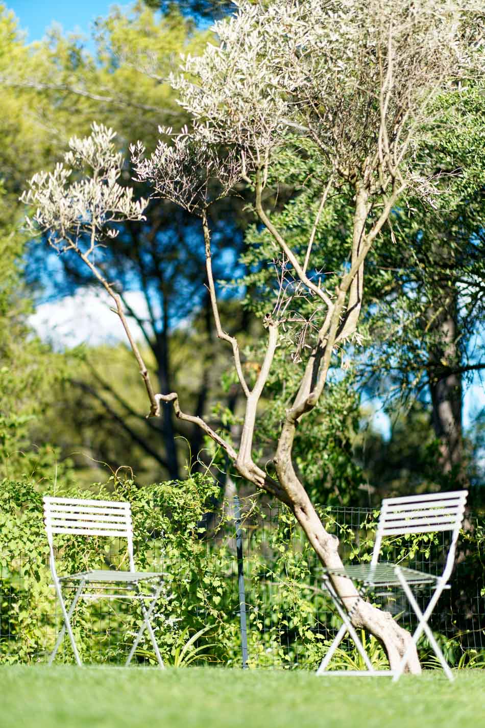 La Bastide d'Alix, Éguilles - photo 8