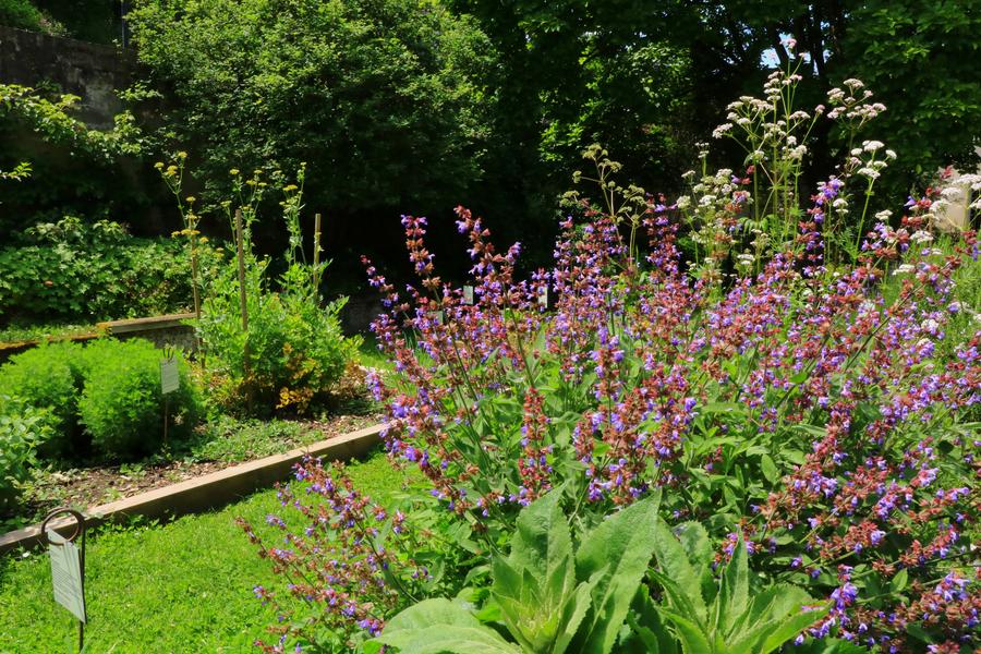 Jardin médiéval - Saint-Chef - Balcons du Dauphiné